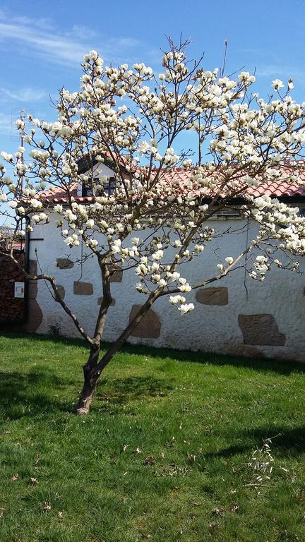 Casa Da Quinta De S. Martinho Hotel Vila Real Eksteriør billede